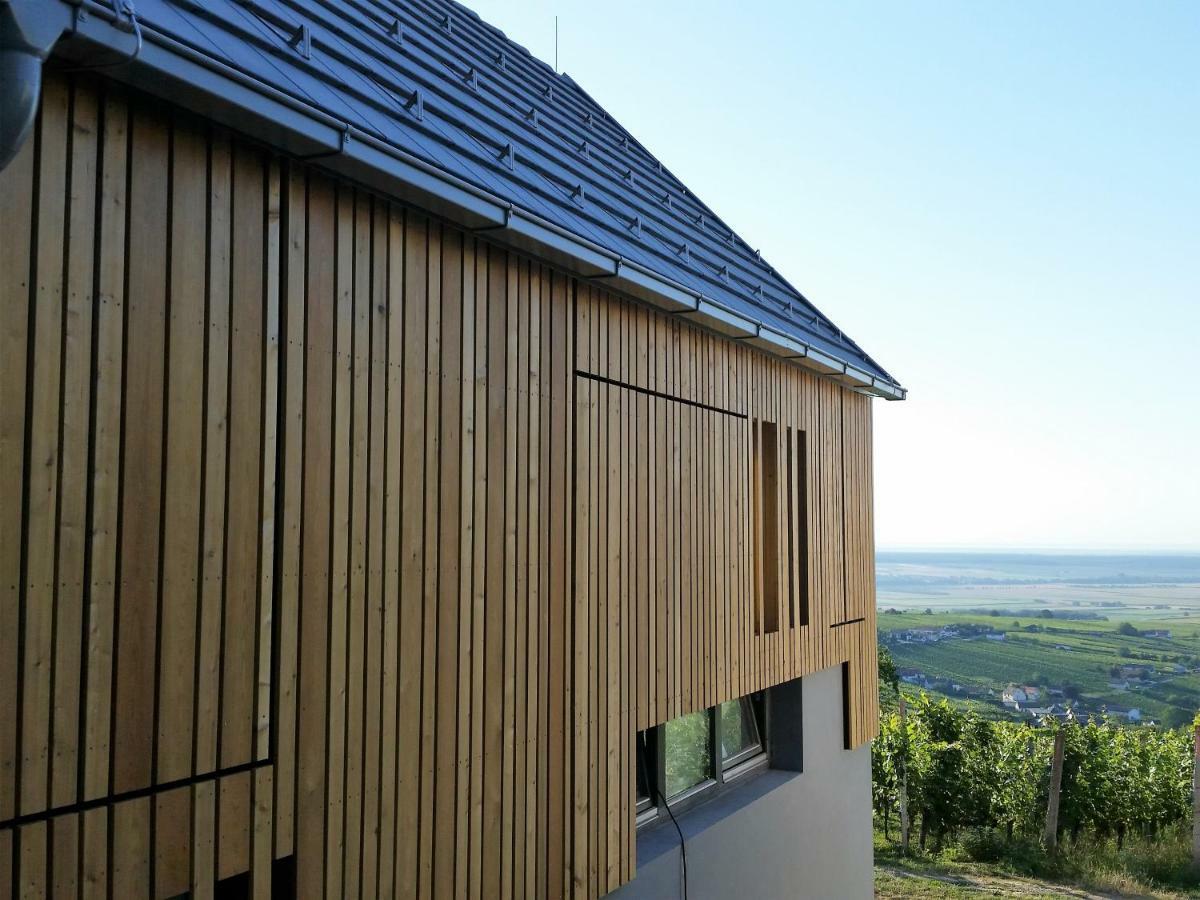 Vila Weinlofts Weinloft II Eisenberg an der Pinka Exteriér fotografie