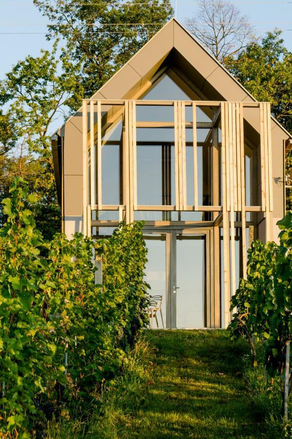Vila Weinlofts Weinloft II Eisenberg an der Pinka Exteriér fotografie