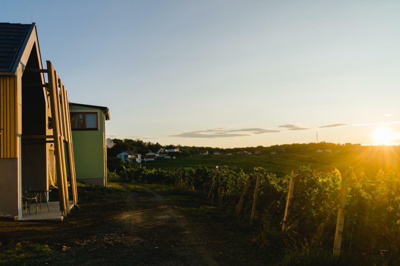 Vila Weinlofts Weinloft II Eisenberg an der Pinka Exteriér fotografie